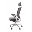 Ergo 2025 Executive Mesh Chair - High Back side Black